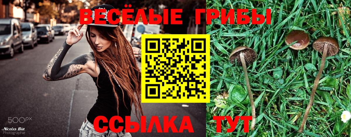 Лиски  Псилоцибиновые грибы ЛСД  Псилоцибиновые грибы MAGIC MUSHROOMS  Вход с VPN 